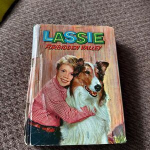 Lassie Forbidden Valley Hardcover Book Vintage 50s Doris Schroeder